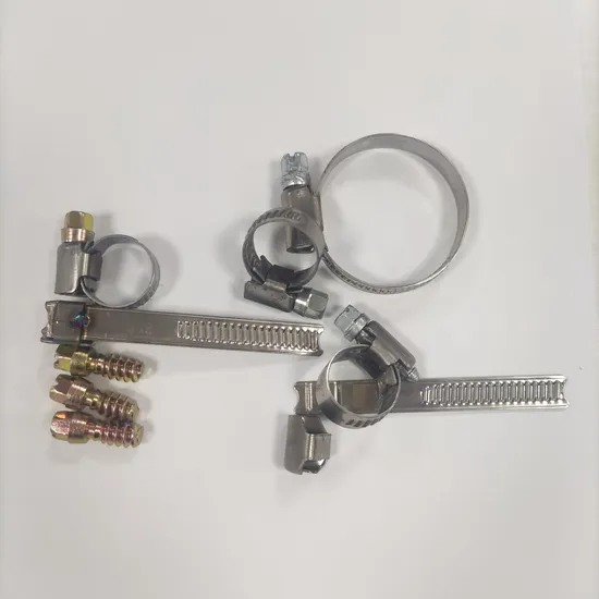 Car Fastener German Type Hose Clamp Automatic Assembly Machine 